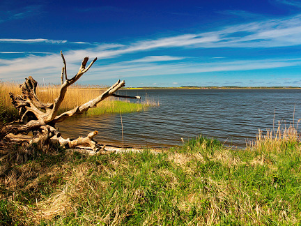 ruhige Dörfer im Usedomer Achterland ruhige Dörfer im Usedomer Achterland
