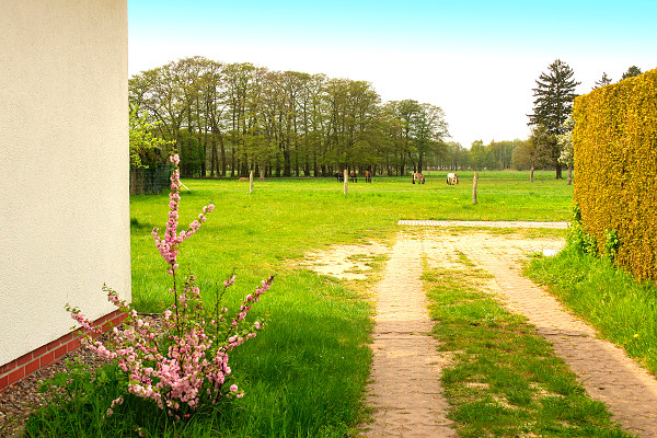 fewo-goerke-umgebung fewo-goerke-umgebung