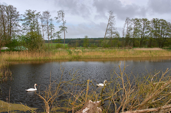 am Strand von Kölpinsee im Winter am Strand von Kölpinsee im Winter