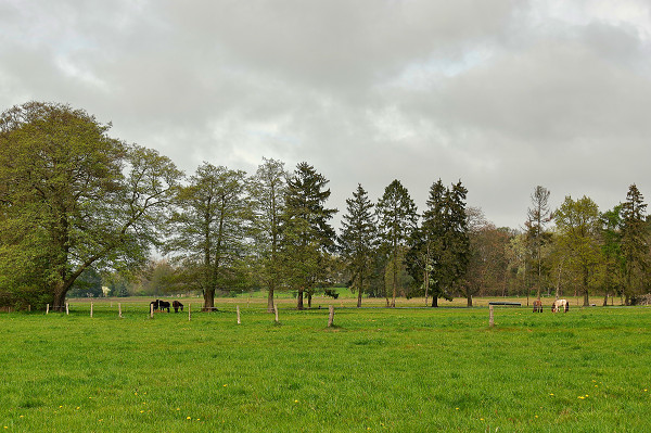 fewo-goerke-umgebung2 fewo-goerke-umgebung2